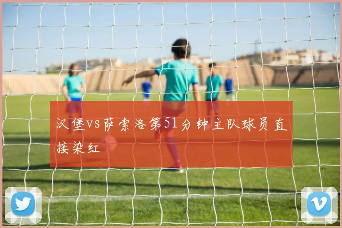 汉堡vs萨索洛第51分钟主队球员直接染红