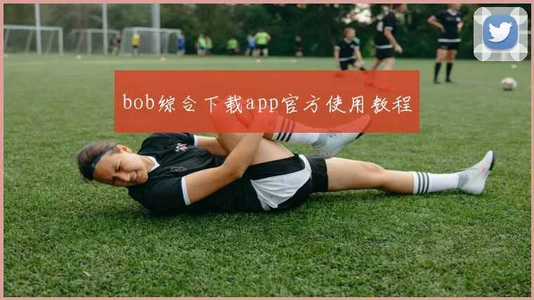 bob综合下载app官方使用教程