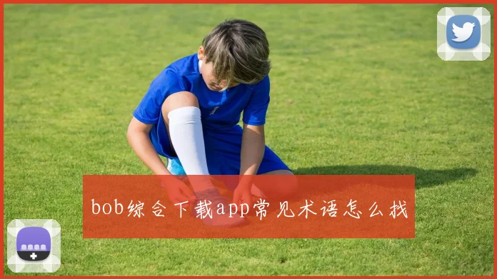 bob综合下载app常见术语怎么找