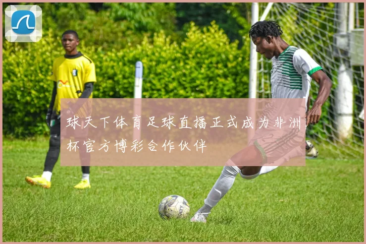 球天下体育足球直播正式成为非洲杯官方博彩合作伙伴